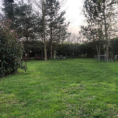 Argeselu Garden Villa - Entire Floor Apartment, Exclusive Garden Access Maracineni المظهر الخارجي الصورة