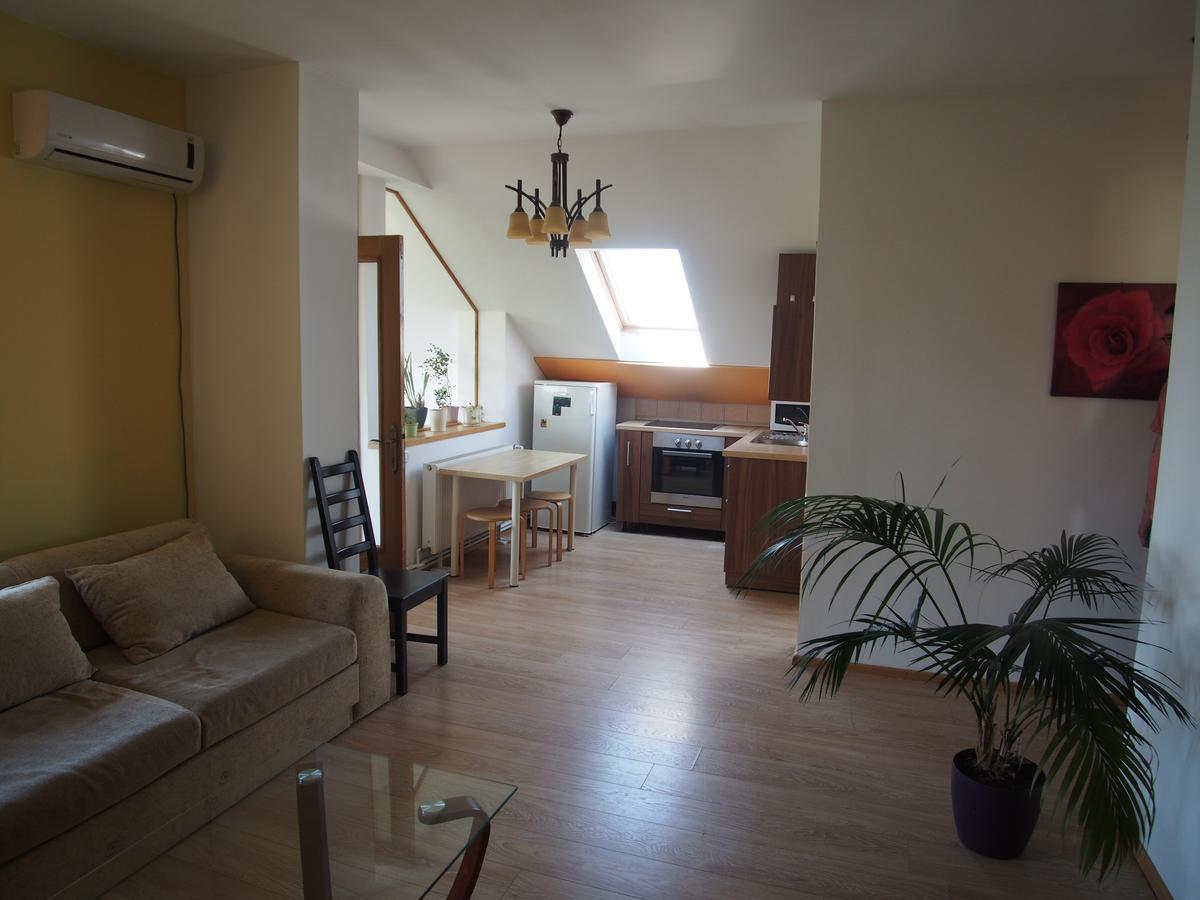 Argeselu Garden Villa - Entire Floor Apartment, Exclusive Garden Access Maracineni الغرفة الصورة