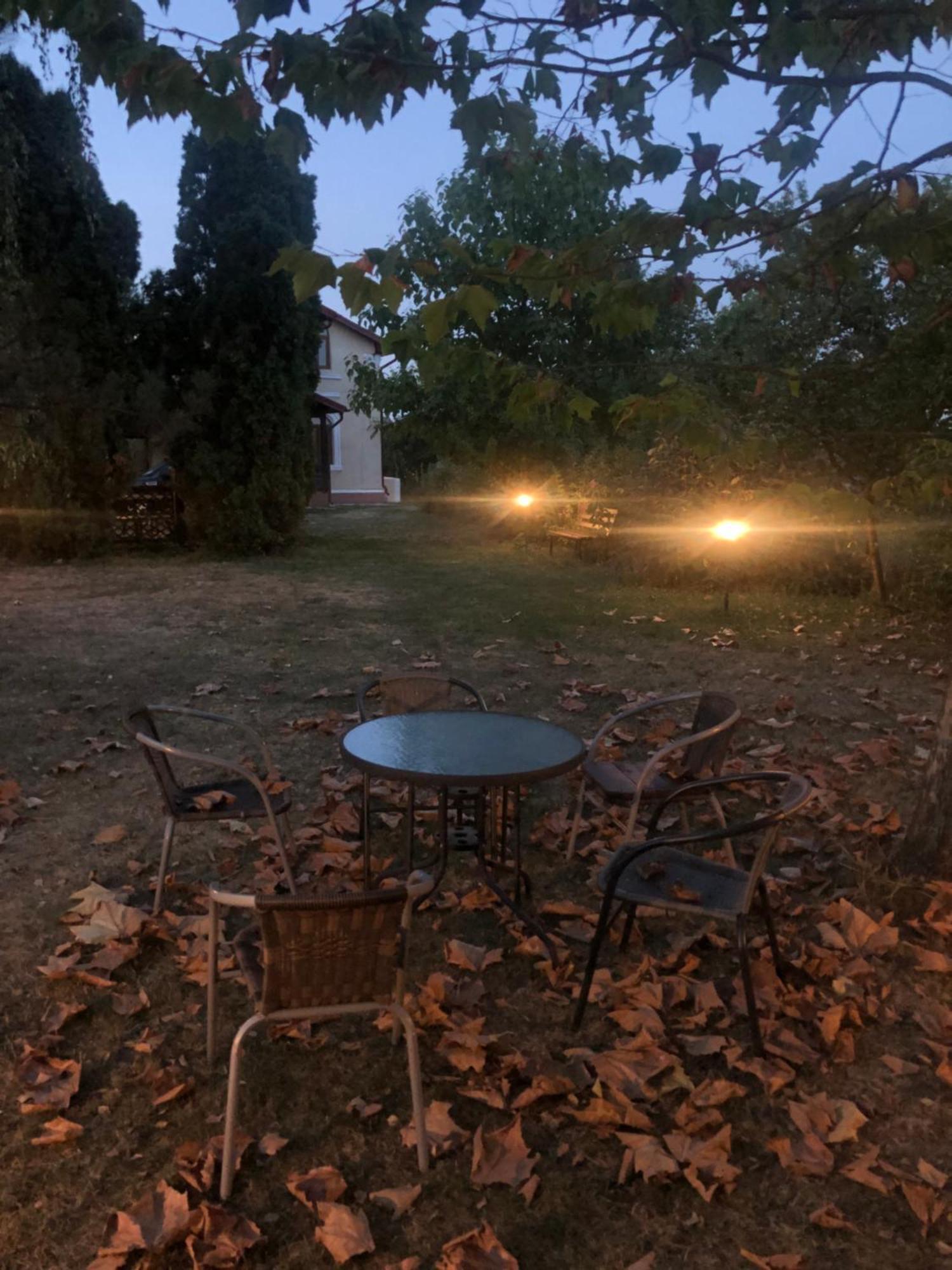 Argeselu Garden Villa - Entire Floor Apartment, Exclusive Garden Access Maracineni المظهر الخارجي الصورة