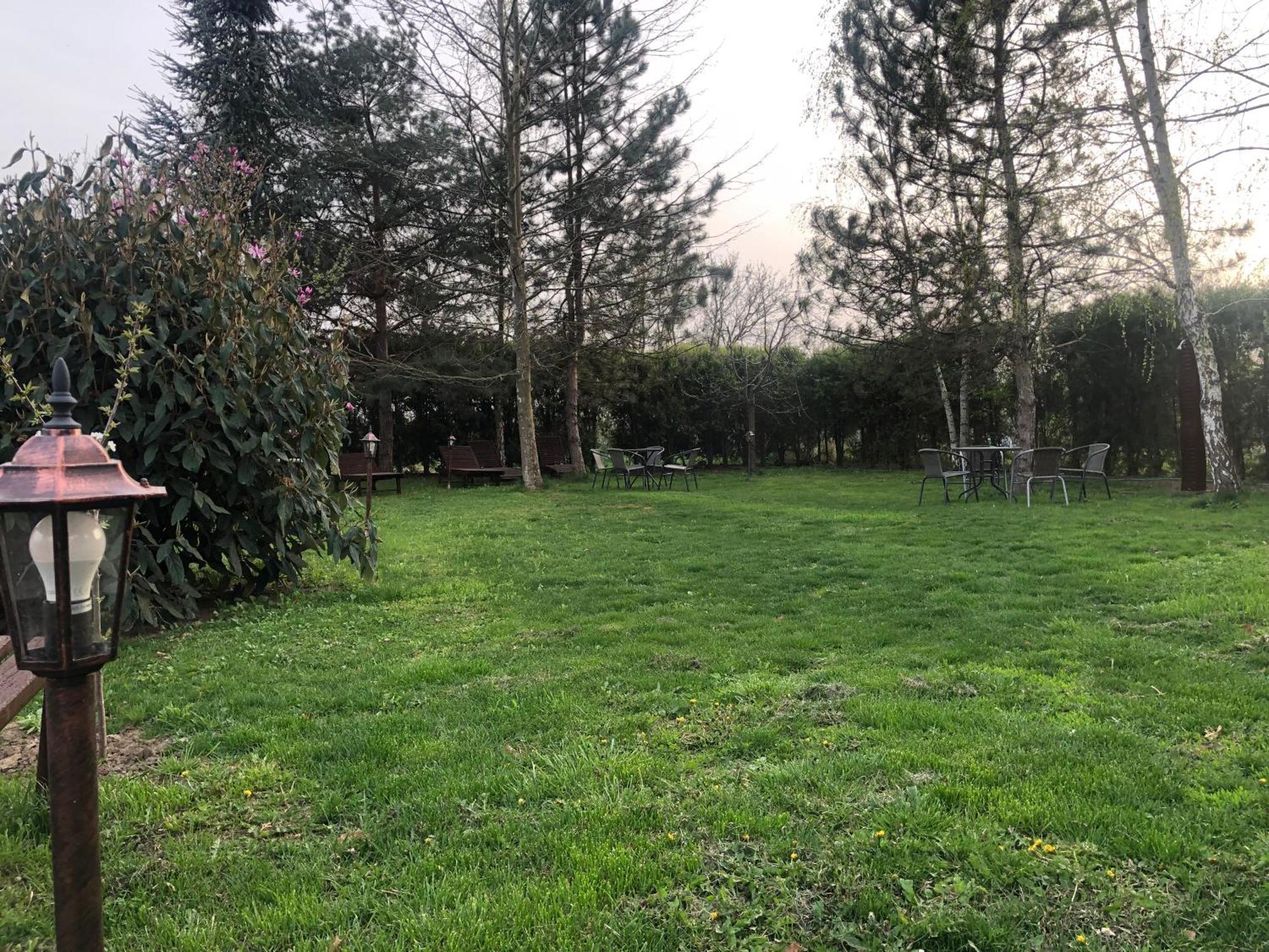 Argeselu Garden Villa - Entire Floor Apartment, Exclusive Garden Access Maracineni المظهر الخارجي الصورة