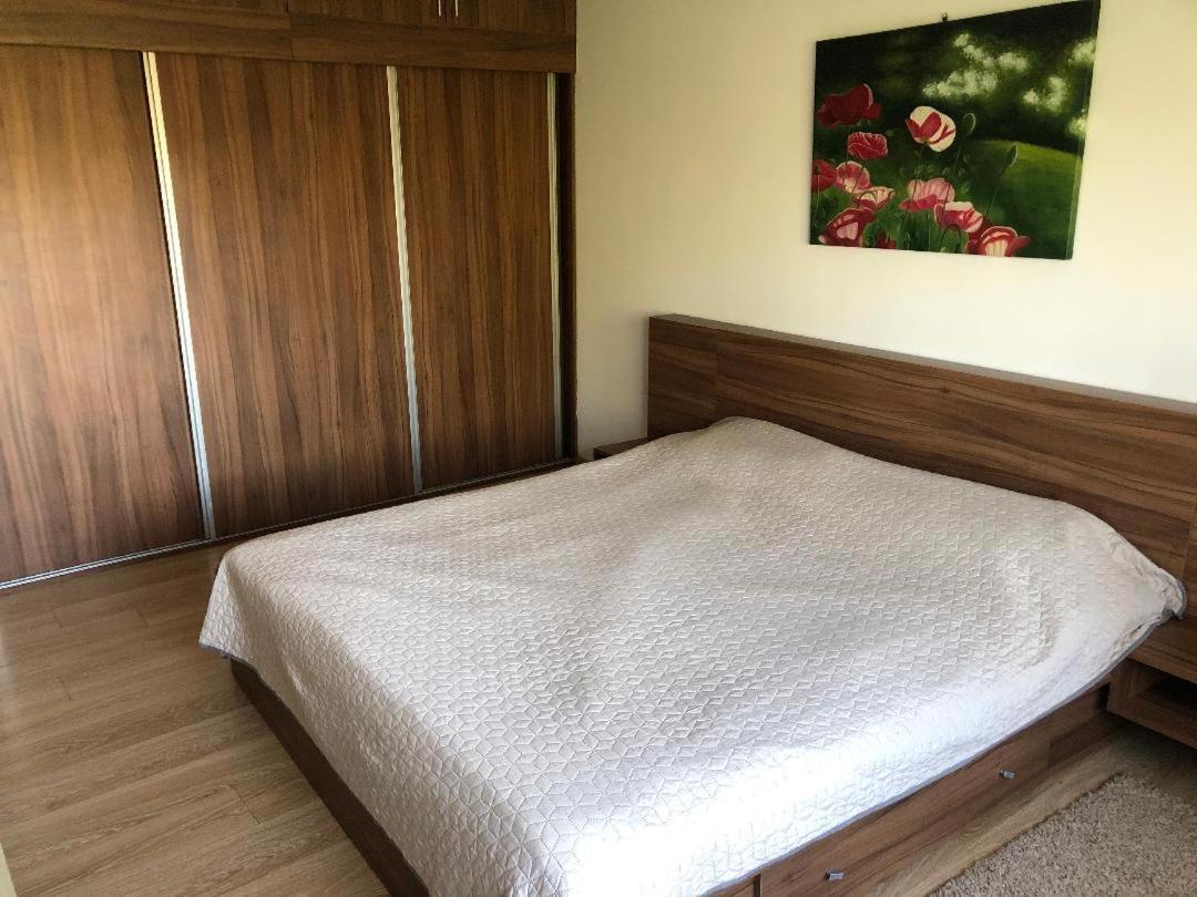 Argeselu Garden Villa - Entire Floor Apartment, Exclusive Garden Access Maracineni المظهر الخارجي الصورة